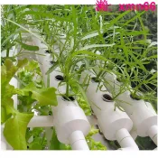 寶承齊百貨 【店長推薦】家庭陽臺管道式水培種菜機無土栽培設備自動化多層水耕種植架家用