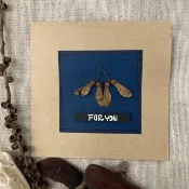-現貨-自然元素/種子手工卡片/創意卡片/萬用卡/收藏卡片(青楓藍)