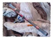 @寵物瘋@~超殺價450天匠磯4號HI-POWER磯釣竿15呎15尺超輕超硬調高彈性碳纖維釣魚竿金屬陶瓷耐腐蝕導線環磯投竿拋竿甩竿釣具