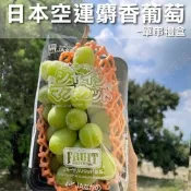 水果狼 日本長野 山梨麝香葡萄 PE盒裝單串禮盒 (350g/串)