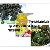 🌄 大禹嶺 90K・碧綠溪｜頂級高山烏龍 手採限量｜一 ｜錯過難再