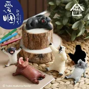 風之谷玩具 Toy Friend 玩具 ANIMAL LIFE第二彈 朝隈俊男 愛睏動物 北極熊 無尾熊 巴哥 河馬 完整一中盒8入 公仔/玩具/扭蛋