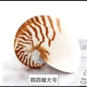 【松果購物】用品魚池擺設造景陽台盆景裝飾大掛飾魚缸室內彩色造型海景
