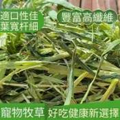 快速出貨 清香自然提摩西一割二割高品苜蓿 燕麥甜小麥百慕達草 多種牧草款式任你挑選