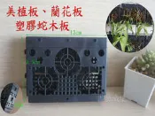 【園藝城堡】美植板 蘭花板 塑膠蛇木板 蘭花 蕨類 附生植物使用可取代蛇木板