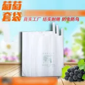 緹娜嚴選 tinaestore 【葡萄專用套袋-多規可選-1款/組】蘋果套袋果袋紙袋塑膠青棗水果套袋(可混搭)-5101030