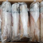 板橋阿禧鮮魚    軟絲  5A 4a全家冷凍 799元免運費 現貨