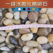 協貿國際日用品生活6館 天然雨花石花盆園藝畫鵝卵石天然五彩色大小石頭石子原石庭院魚缸