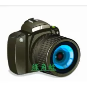 綠角蛙   相機目錄