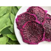 150g 無糖火龍果乾 火龍果乾 果乾 火龍果 紅龍果 和平堅果 和平小舖 和平堅果坊 LM Shop