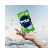 (店+)Polo雀巢薄荷糖 一包(100顆)-24包入