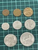 非洲 南非 197X~8X年 早期 鳥類、植物、動物幣 1/2分~1蘭特 套幣 錢幣 硬幣-8枚一套 (黃15)