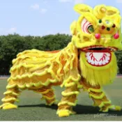 新貨優選舞獅道具整套南獅醒獅用品雙人舞獅子頭成人北獅舞獅子的獅子道具 醒獅 舞龍舞獅 舞獅頭 舞獅衣服 民俗技藝 道具