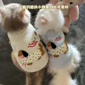 🔥🔥免運/臺灣暢銷🔥🔥貓咪衣服春夏季新款防掉毛薄款橘貓藍貓布偶貓臘腸狗寵物背心服裝