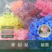 [閉店出清] PF002 原裝夢幻星｜買五送一 A級漂色滿天星 特級漂白滿天星 夢幻滿天星 永生花  乾燥花 拍照...