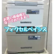 免運🔥日本 SHIMANO 26 高保冷 FIXCEL 冰箱 22L 30L 三面 六面 真空 保冷箱 公升