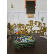 金錢樹（盆長19.2、寬13、含樹總高約24）（物況不錯！）（陶瓷盆！！）