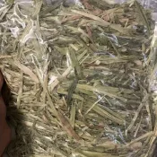 台灣發貨 嚴選頭茬牧草組 提摩西 甜燕麥 苜蓿 甜小麥 百慕達草 高纖磨牙排毛 乾淨無雜質 小寵愛吃不挑食