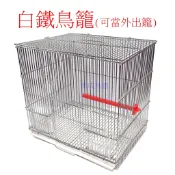 ＊來成鳥園＊白鐵鳥籠【可超取-數量1個】/密籠縫/蜜袋鼯籠/鸚鵡外出籠/鳥籠/鼠籠/寵物用品/寵物籠/鳥籠/白鐵籠