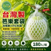 (店+)賓購 台灣製 芭樂套袋 5組入 透氣有耳塑膠袋 傳統芭樂套袋 芭樂塑膠泡棉袋 芭樂防蟲袋 芭樂保濕 番石榴套袋 免運