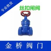 口閘閥內螺紋閥門工業消防軟密封閘閥DN40 50 65 80 100 4分6分