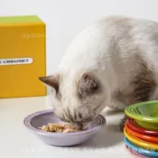【良品】LE CREUSET法國酷彩寵物碗貓狗盆水果零食飯盆盤子碟子草帽餐盤