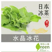 水晶冰花(約100粒種子) 冰菜 非洲冰花日本冰花 日本冰菜 蔬菜種子【綠色山嵐】