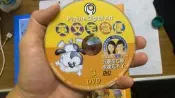 只有1片 Dorina〈英文教學小魔女)-英文宅急便－圖像記憶英文 PDA DVD Y05