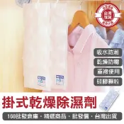 【168批發倉庫-台灣現貨】掛式乾燥除濕劑 10包一組 除濕包 可重複使用 除濕袋 乾燥劑 除濕包 除溼袋 除溼包