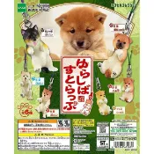 風之谷玩具 EPOCH 轉蛋 扭蛋 搖擺柴犬吊飾 柴犬 全6種 整套販售