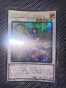 {Toys賣場｝遊戲王（韓紙半鑽）QCCU-JP164 芳香熾天使 迷迭香