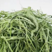【青青草原寵物館】過篩 陸棲爬寵專屬搭配萌寵牧草 陸龜 長期主食搭配 兔兔 天竺鼠 豚鼠荷蘭豬龍貓 農場牛馬羊通用草料
