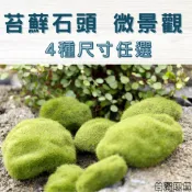 ｜菜鳥植物園｜仿真青苔石 仿真苔蘚石頭 仿真石 多肉裝飾 生態瓶配件 盆栽裝飾 微景觀配件 公仔 迷你園藝 微景觀擺件