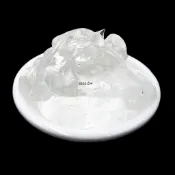 【順億化工】德國巴斯夫 凝膠形成劑 100g 500g 凝膠 凍膜【DDD】