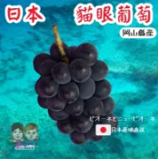 【緁迪水果JDFruit】空運日本岡山極品貓眼葡萄 單房禮盒裝 ⭐ l 緁迪水果