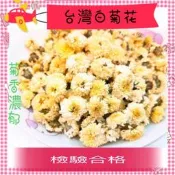 【合信旺旺 】台灣白菊花/黃菊花/花香淡雅濃郁