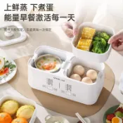 110V煮蛋器蒸蛋器傢用自動斷電新款煮蛋神器小型迷你水煮鷄蛋神器