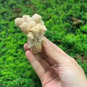 天然原礦可愛方解石花簇 旺財運 旺事業 療癒