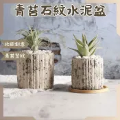 (店+)沐晨植物園｜青苔石紋水泥盆 多肉盆 陶瓷花盆 多肉盆栽 花盆 水泥盆 花器