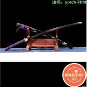 【桃園出龍泉劍武長居太肋差長劍katana未刃