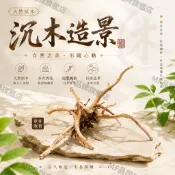 隔日到貨+免運🚚 沉木 沈木 小栖根 杜鵑根 杜鵑木 水草 水草膠 發泡膠 魚缸 小魚缸 魚缸造景 孔雀魚 鬥魚 背景板