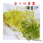 My Monday 衝評價! 永生海金沙 大地農園【永生海金沙／海金沙】蕨類 葉材 藤圈 配草 天然 永生 造景