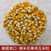 【穀粒穀力】2日達玉米粒 1臺斤美國爆米花專用玉米粒 熬粥煮粥材料玉米粒家用自製原料爆裂幹玉米凍幹玉米粒