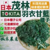 城禾農產🍃 日本茂林羽衣甘藍種子 22粒 羽衣芥藍種子 羽衣甘藍種子 羽衣甘藍種子 雨衣甘藍種子 雨衣芥藍種子 芥藍種子