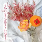 乾燥卡斯比亞-年節限定色 桌花 開運盆花材料 插畫花材 賀年卡材料 銀柳搭配素材