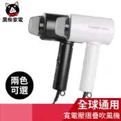 【黑柴家電】山崎全電壓等離子水漾吹風機 SK-D1