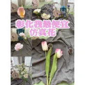 台灣 🇹🇼 田尾 現貨 仿真花 ✨我最便宜‼️人造花 假花 蕨類 藤蔓 裝飾 造景 佈置