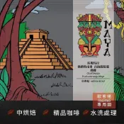 (店+)瓜地馬拉薇薇特南果高海拔精選瑪雅白金烘焙掛耳包(5入組;水洗處理法)