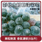 【HOTAI購】【阿成水果】桃苗選品—彰化大村巨峰葡萄(8台斤/盒)