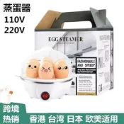 自售【煮蛋器 蒸蛋器 早餐機】快速蒸煮 迷你煮蛋器 多功能蒸蛋器 家用雙層蒸蛋 早餐蒸蛋神器 110V220V 臺灣現貨